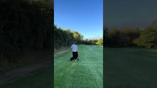 New caddie dog funnyvideo [upl. by Benni]