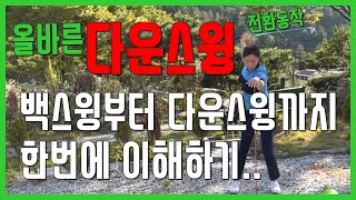 다운스윙 전환동작 팔과 골반을 제대로 이해하고 사용해야 실력이 늘어요SUB [upl. by Netti]