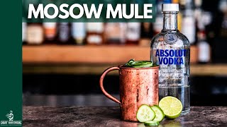 MOSCOW MULE selber machen 🥒 [upl. by Moyers65]