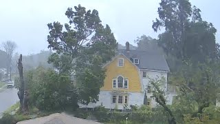 CAUGHT ON CAMERA  Massive Tree Knocked Down During Tropical Storm Henri  August 22 2021 [upl. by Della182]