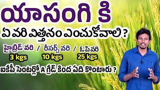 యాసంగి కి ఏ వరి విత్తనం ఎంచుకోవాలి   best hybride paddy seeds  best research paddy seeds [upl. by Talley350]