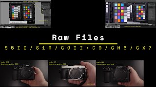 Lumix Raw DatenVergleich  Raw data comparison  NO WORDS [upl. by Tessi644]