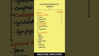 Joints Anatomy  Classification of Joints  Joint Classification anatomy medicine [upl. by Heringer]