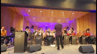 Die drei Tannen von Reutte  LECH GROOVE ORCHESTRA amp LionPARK [upl. by Ronel282]