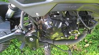 Honda Grom Stock OG Exhaust Mod [upl. by Einalem835]