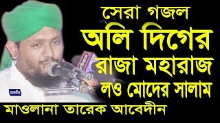 অলি দিগের রাজা মহারাজ  Mawlana Tareq Abedin  Beautiful Naat  Islami Gojol  2018 [upl. by Millwater]