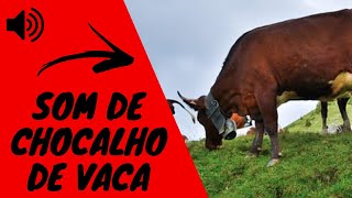 BARULHO DE CHOCALHO DE VACA I SOM DE CHOCALHO [upl. by Greenwood704]