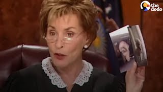 Judge Judy Lets Dog Decide Who To Go Home With  The Dodo [upl. by Quintana206]