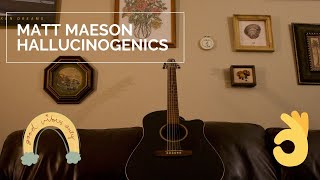 Hallucinogenics Matt Maeson Cover by Warren Weitner [upl. by Chad810]