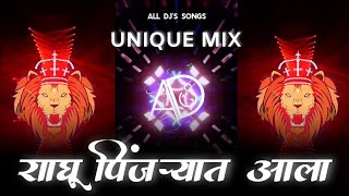 Raghu Pinjryat Aala Song UNIQUE Mix  Dj Remix  All Djs Songs  2022 [upl. by Aramanta151]