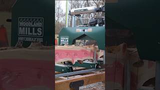 Milling PINK Lumber sawmill [upl. by Dolores]