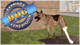 Sniffing Out the Dog Catchers Trail 🐶 Ultimate Dog Simulator  Episode 7 [upl. by Sivrep570]