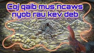 tham kev nqa qaib mus ncaws deb deb yuav ua li cas [upl. by Aneerol]