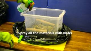 How to setup a Woodlice Colony [upl. by Hallsy]