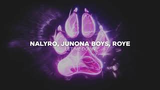 NALYRO Junona Boys amp Roye  Let Me Down Official Audio [upl. by Eglantine]