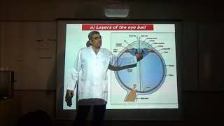 Physiology  Mechanism of Vision by Dr Abdelmonem Hafez [upl. by Savina]