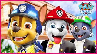 PAW Patrol The Mighty Movie  Coffin Dance PAW Patrol SUPER MEGAMIX COFFIN DANCE ASTRONOMIA [upl. by Yendirb]