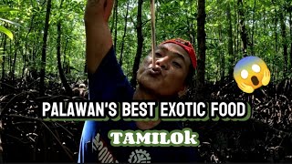 Palawans best exotic food TAMILOK [upl. by Dunham770]