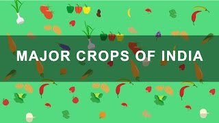 Major Crops of India  Rabi Kharif Zaid crops  Indian Agriculture Geography [upl. by Emmalynn]