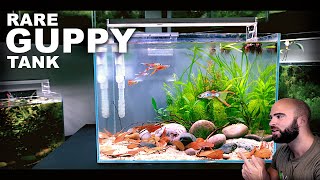 Aquascape Tutorial RARE GUPPY TANK Natural Style How To Step By Step Guide [upl. by Rostand933]