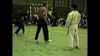 Pencak Silat VS Karate [upl. by Avi376]