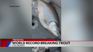 Man catches world record breaking trout [upl. by Latvina754]