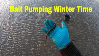 Trying to get the elusive winter lugworm [upl. by Oliana]