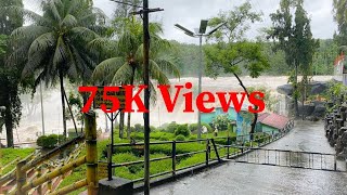 Heavy rainfall in Kanyakumari  Flood in Kanyakumari district  Tiruparappu waterfalls  Red Alert [upl. by Leod]