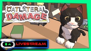 Catlateral Damage PSVR Gameplay [upl. by Eilraep]