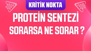 Protein Sentezi ile ilgili SORARSA NE SORAR [upl. by Yrocal]