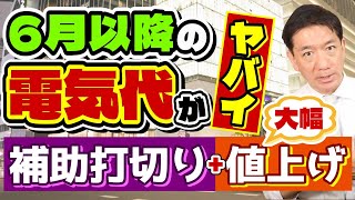 【6月以降の電気代こうなります】大手10社すべて値上げ 補助は完全打切り 関西と九州は4割超 過去最高水準 再エネ賦課金 都道府県や市区町村の補助金 詐欺注意〈24年5月時点〉 [upl. by Griselda]