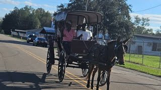 FRANKLINTON LA COMMUNITY FALL FESTIVAL 2024 WASHINGTON PARISH VLOG 2024 [upl. by Clarhe139]