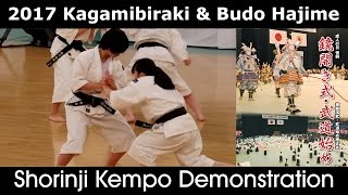 Shorinji Kempo Womens Demonstration  Kagamibiraki 2017 [upl. by Barbabra]