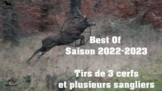 Chasse Cerfs Sangliers Chevreuils  Best Of 20222023 [upl. by Ainessej]