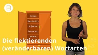 Flektierende Wortarten Was du beachten musst  Deutsch  Duden Learnattack [upl. by Robi73]