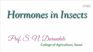 Hormones in Insects [upl. by Alaet]