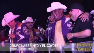 GRUPO LABERINTO A DUETO CON EL COYOTE [upl. by Nedi]