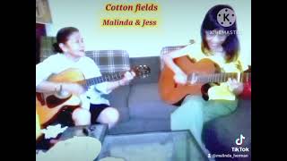 Cotton field Cover by MalindaHermanOfficial [upl. by Sitruk]