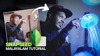 Snapseed ഉപയോഗിച്ച് ഇതുപോലെ Edit ചെയ്യാൻ പഠിക്കാം  Snapseed Malayalam Tutorial [upl. by Marya]