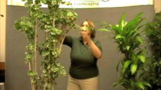 Prune this How and why plants grow tall or grow bushy [upl. by Conlee160]