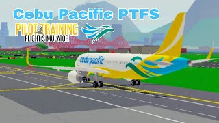 Cebu Pacific Air  PTFS Advertisement [upl. by Kirt446]