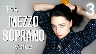 Everything you need to know about the Mezzo Soprano  Opera Voices 3 [upl. by Jepum]