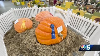 Huge pumpkin breaks record at Champlain Valley Fair [upl. by Merkley348]