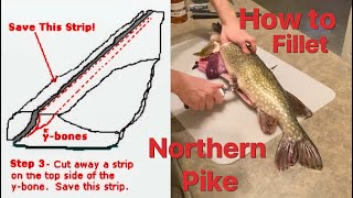 FAST and Boneless Northern Pike Filleting Method [upl. by Zechariah]