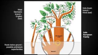 Chapter 5 Key Issue 1  Language  AP Human Geography [upl. by Mattson488]