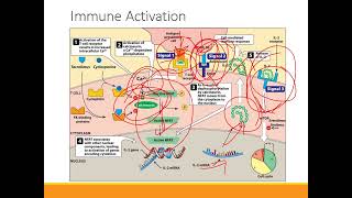 Immunosuppressants [upl. by Jacklyn]