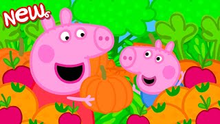 Los cuentos de Peppa la Cerdita 🐷 BÚSQUEDA DE FRUTAS Y VERDURAS 🐷 NUEVOS episodios de Peppa Pig [upl. by Ertnom]