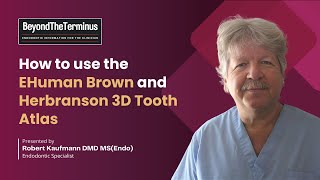 How to use the EHuman Brown and Herbranson 3D Tooth Atlas  Robert Kaufmann DMD MSEndo [upl. by Yesrod]