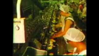 CampP PineapplePart 2The Cannery [upl. by Lachman]