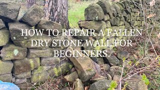 HOW TO REPAIR A GAP IN A DRY STONE WALL FOR BEGINNERS REPARING A FALLEN DRY STONE WALL DRY WALLING [upl. by Pedrotti368]